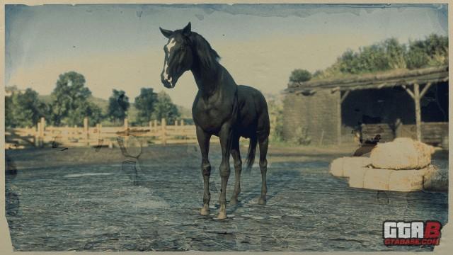 RDR2 Horses Turkoman BlackTurkoman