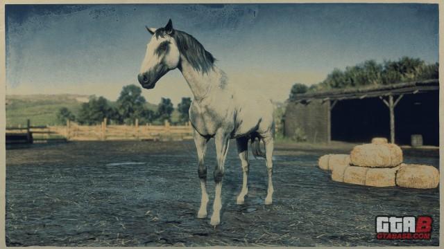 Grey Turkoman - RDR2 Horse