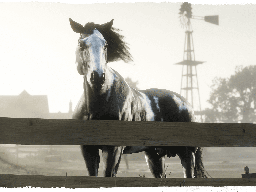 RedDeadOnline BloodMoney Screenshot 27