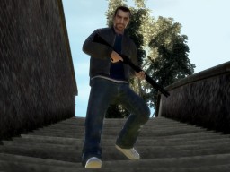 214 NikoBellic