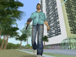 gta vicecity 11