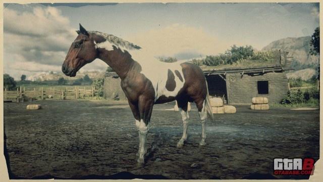 Tobiano American Paint Horse - RDR2 Horse Tobiano American Paint Horse - RDR2 Horse