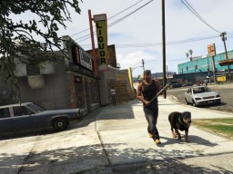 GTA5 232 Franklin Chop