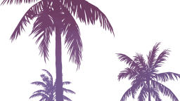 gta6 artwork palms png