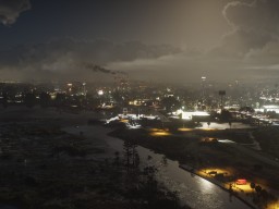 ambrosia