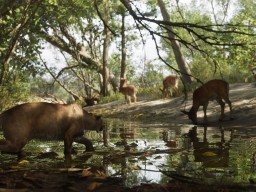 mount kalaga national park