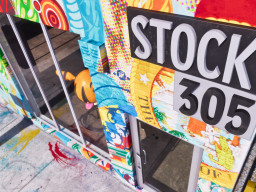 ultimateedition stock 305