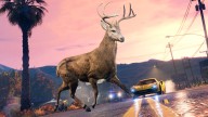gta online the chop shop