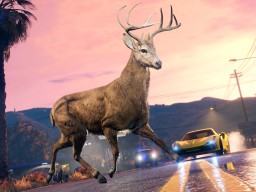 gta online the chop shop