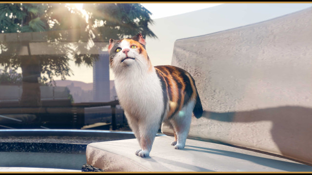 gtaonline mansionsdlc cat