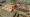 Trespass