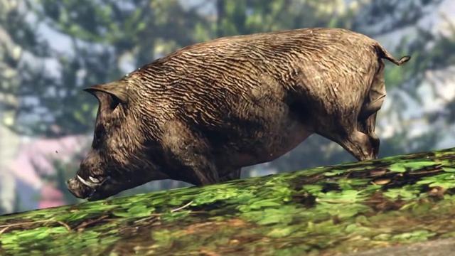 Boar - GTA 5 Animal Boar - GTA 5 Animal
