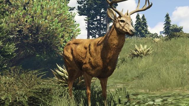 Deer / Elk - GTA 5 Animal Deer / Elk - GTA 5 Animal