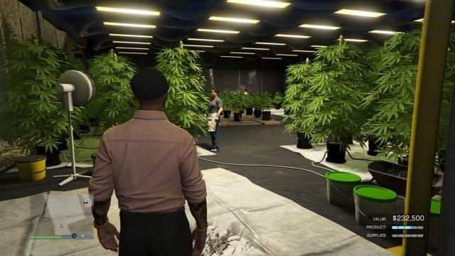 gta online weed farm collection