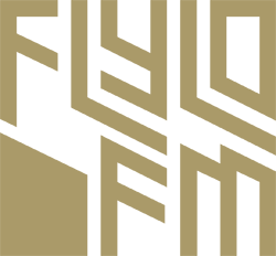 FlyLo FM - GTA 5 Radio Stations Songs & Tracklist