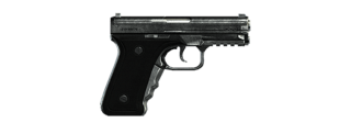 WM 29 Pistol