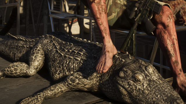 American Alligator - GTA 6 Animals Guide American Alligator - GTA 6 Animals Guide