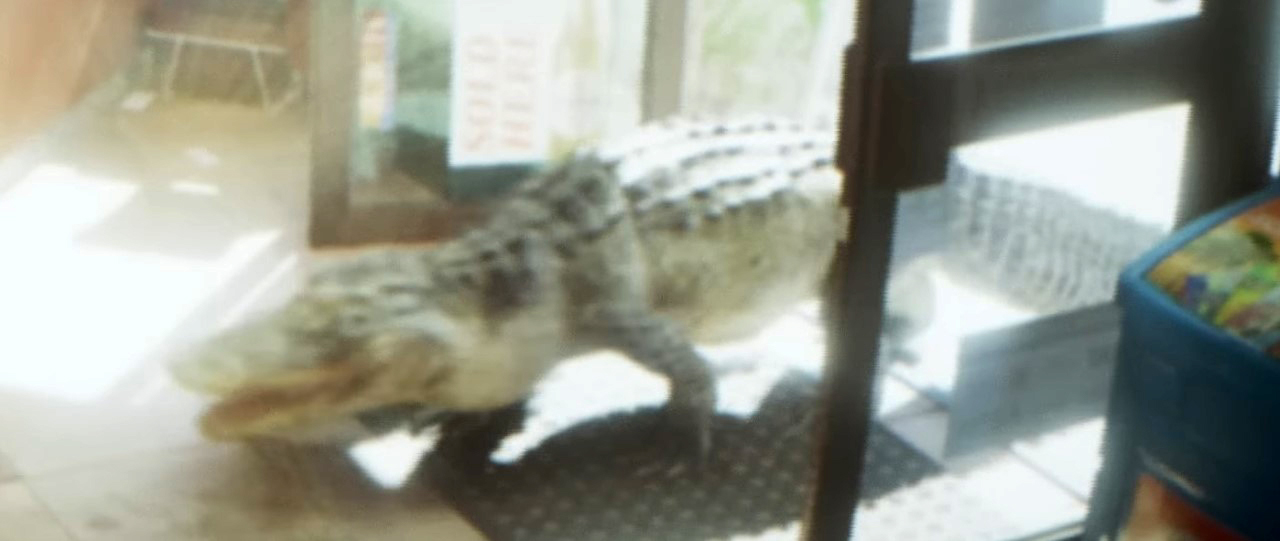 Alligator - GTA 6 Animals Guide Alligator - GTA 6 Animals Guide