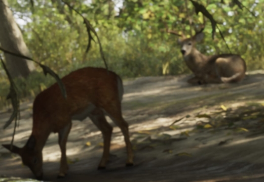 Deer - GTA 6 Animals Guide