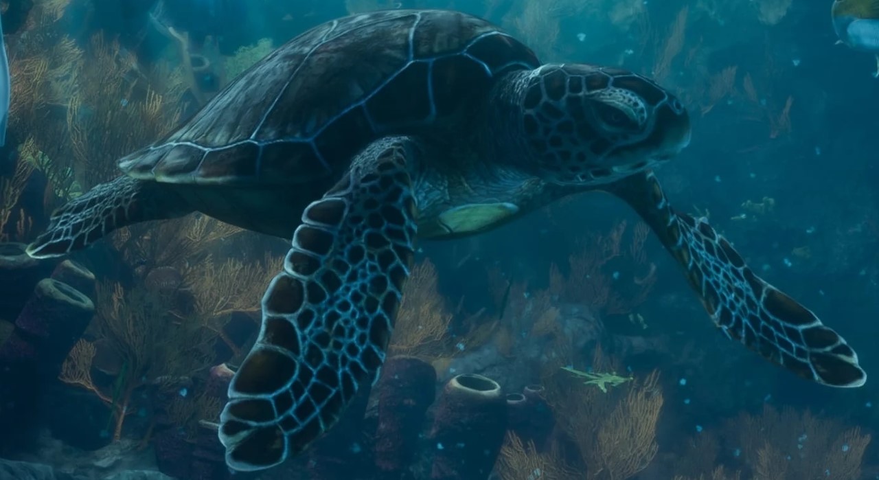 Sea Turtle - GTA 6 Animals Guide Sea Turtle - GTA 6 Animals Guide