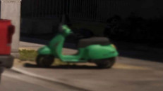 Faggio Faggio