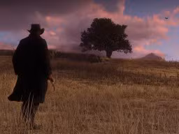 RedDead2 030