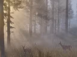 RedDead2 042 Preview