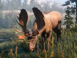 RDR2 Wildlife Screenshot 14