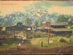 RDR2 Locations Valentine Heartlands