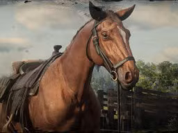 RDR2 Online GettingStarted Horse