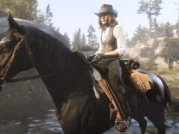 RDR2 RedDeadOnline 40