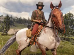 RDR2 RedDeadOnline 45