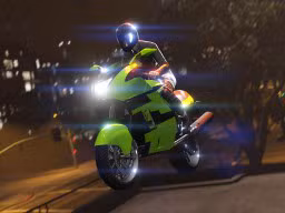 GTAOnline Screenshot Shitzu Hakuchou