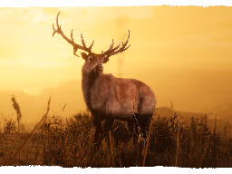 RedDeadOnline NaturalistUpdate Cougar
