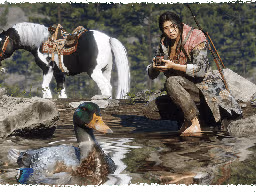 RedDeadOnline NaturalistUpdate Duck