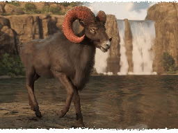 RedDeadOnline NaturalistUpdate Ram