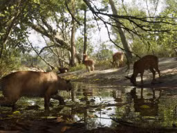 mount kalaga national park