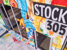 ultimateedition stock 305