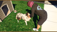 gtaonline mansionsdlc dog