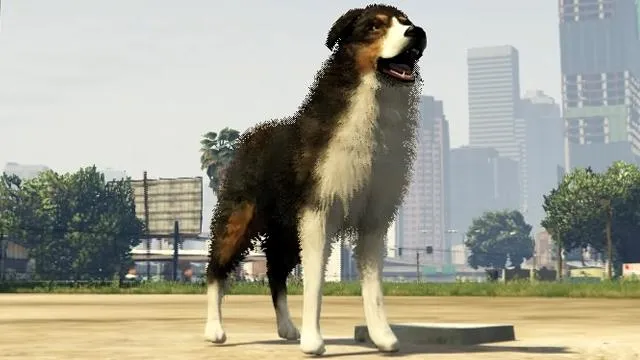 Border Collie / Shepherd - GTA 5 Animal