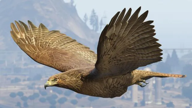 Chicken Hawk - GTA 5 Animal Chicken Hawk - GTA 5 Animal