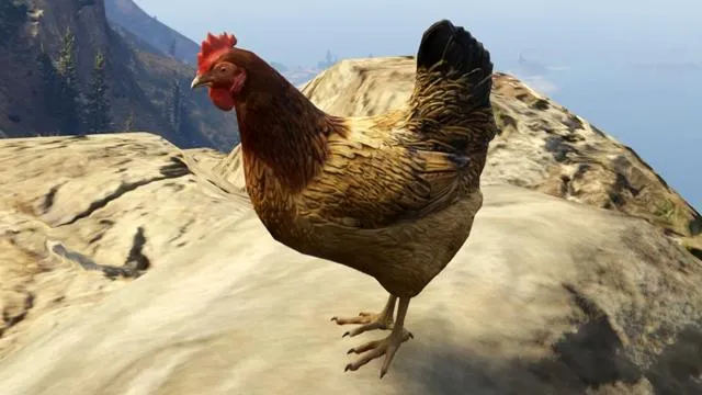 Chicken - GTA 5 Animal Chicken - GTA 5 Animal