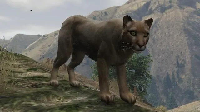 Cougar / Mountain Lion - GTA 5 Animal