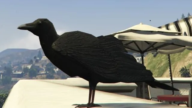 Crow - GTA 5 Animal Crow - GTA 5 Animal