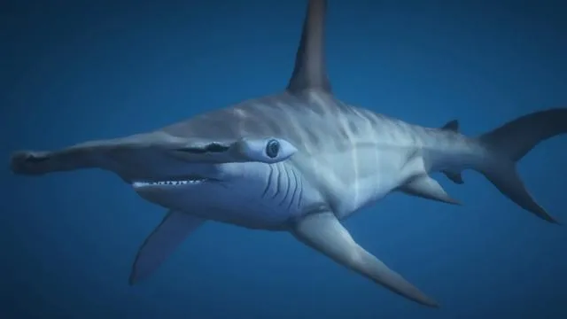 Hammerhead Shark - GTA 5 Animal