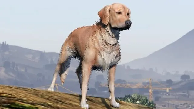 Labrador Retriever - GTA 5 Animal