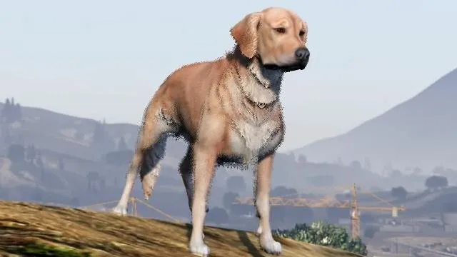 Labrador Retriever - GTA 5 Animals, How To Play & Where To Find Labrador Retriever - GTA 5 Animals, How To Play & Where To Find