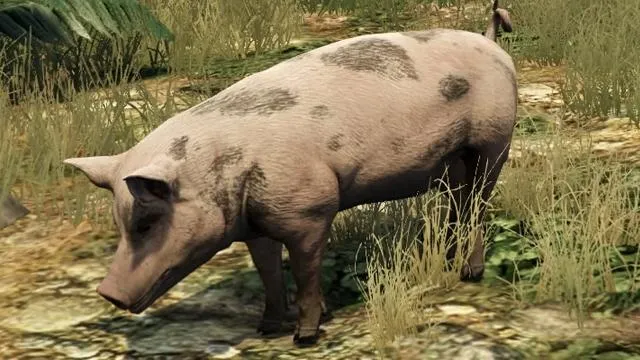 Pig - GTA 5 Animals, How To Play & Where To Find Pig - GTA 5 Animals, How To Play & Where To Find