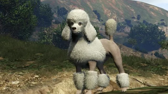 Poodle - GTA 5 Animal