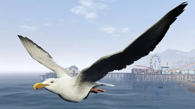Seagull - GTA 5 Animal Seagull - GTA 5 Animal